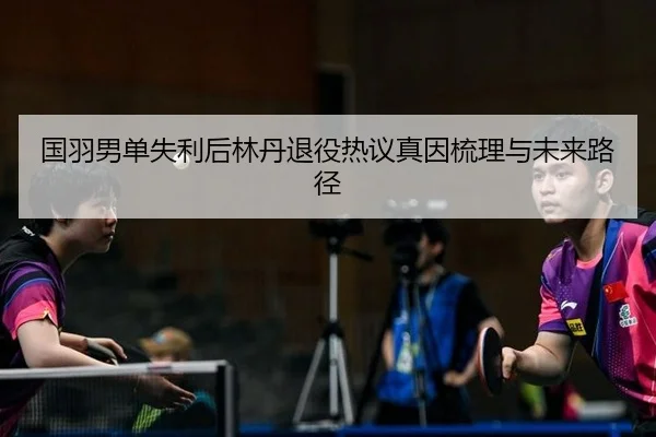 国羽男单失利后林丹退役热议真因梳理与未来路径